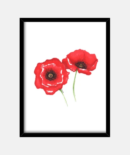 Cadre coquelicots