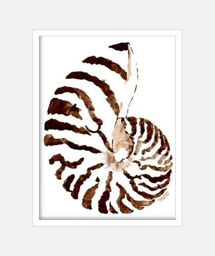 Cadre coquille brune v