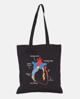corazon anatomico arte medico