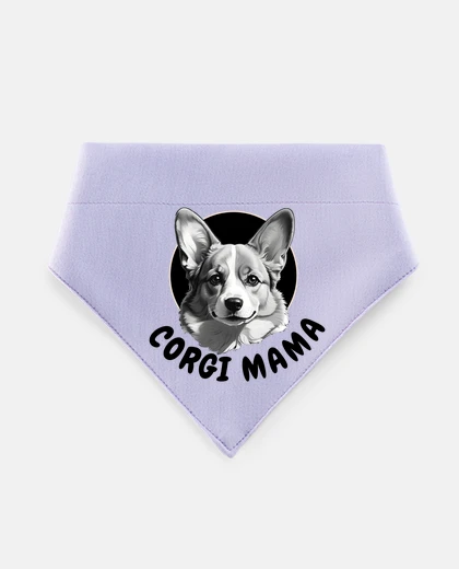 Mascotas corgi mama puppy price
