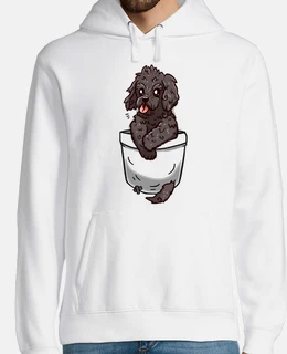cucciolo di cockapoo tascabile