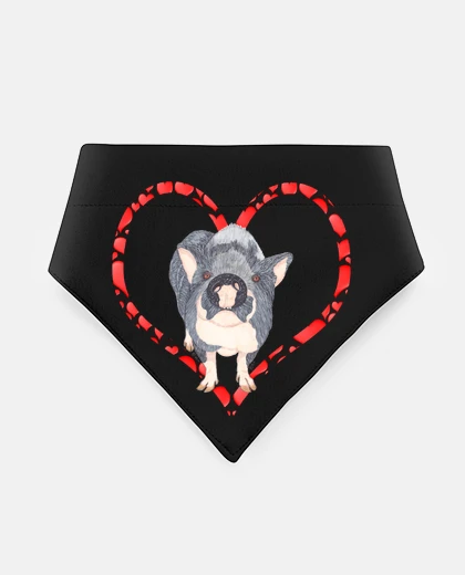 Mascotas cuore pig panciuto