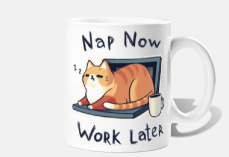 cute cat laptop - nap procrastination