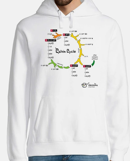 Felpa cycle Calvin (sfondi chiari)