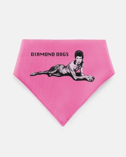 Mascotas D Dog