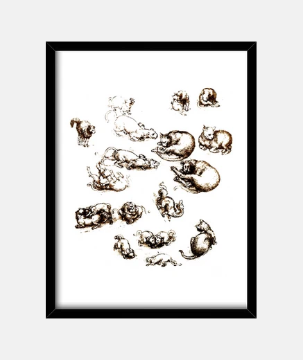 Framed da vinci cats
