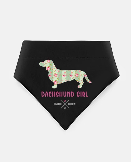 Mascotas dachshund dachsund girl limited edition funny