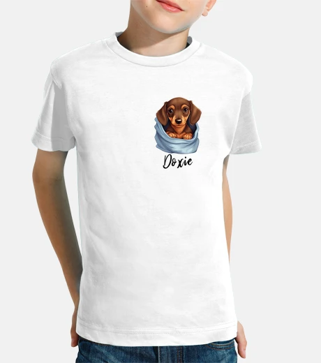 Ropa dachshund dog inside pocket