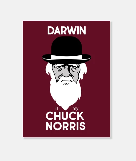 Stampa darwin è chuck norris bianco
