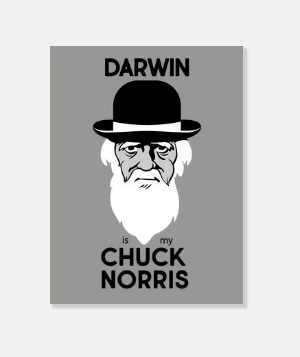 Stampa darwin è chuck norris nero