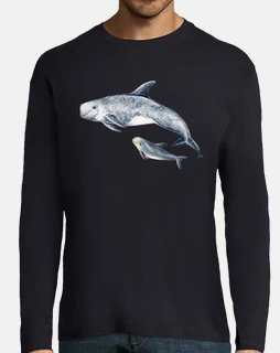dauphin chemise risso grampus