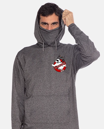 Sweat DD Frelons 01