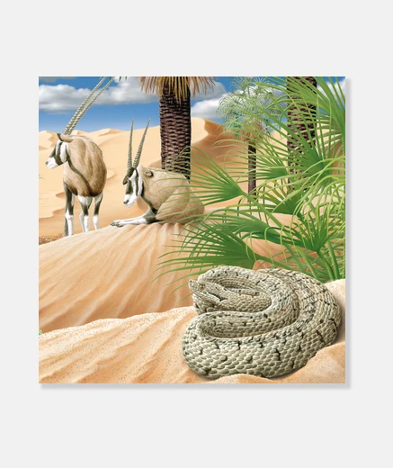 Stampa desert 1