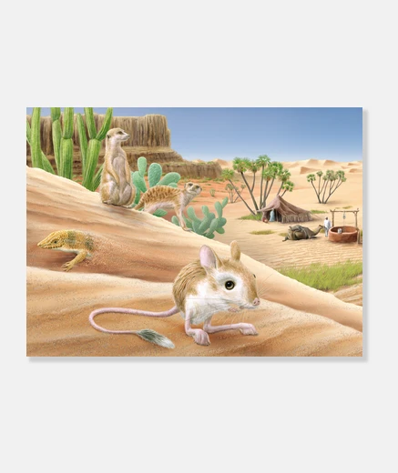 Stampa desert 2
