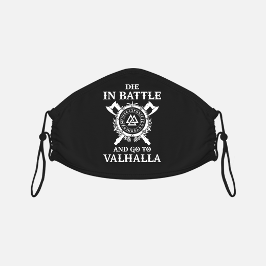 die in battle and go to valhalla - vikings