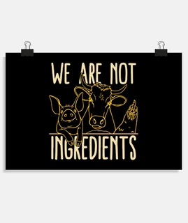 dieta vegana non siamo vegani senza car