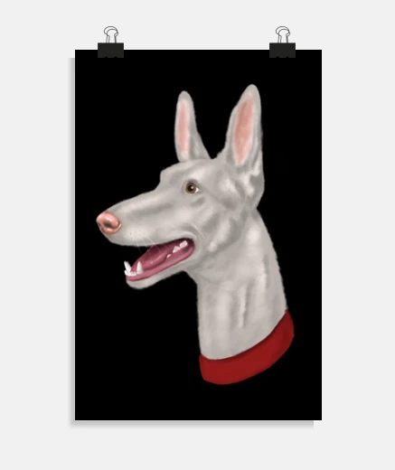 Póster Diseño 2722803