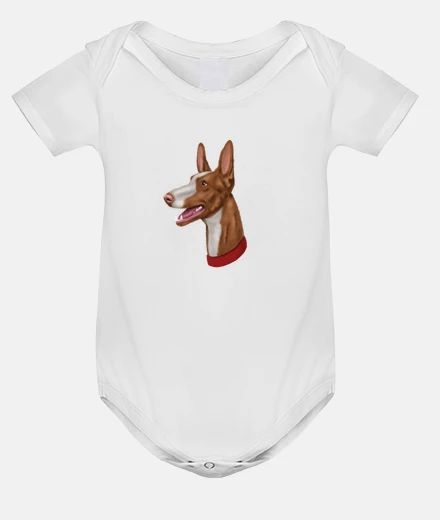 Ropa Diseño 2737262