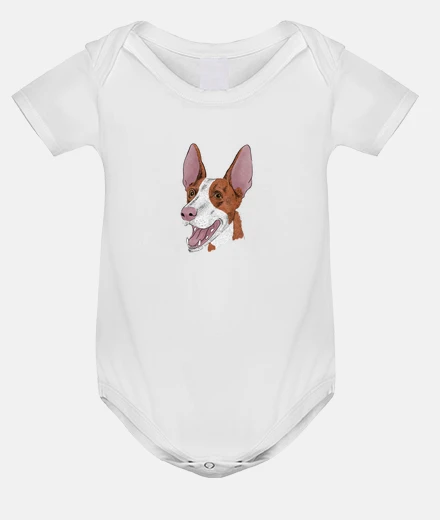Ropa Diseño 2762908
