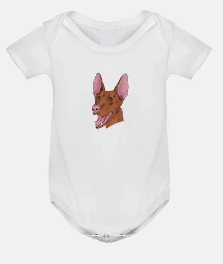 Ropa Diseño 2762920
