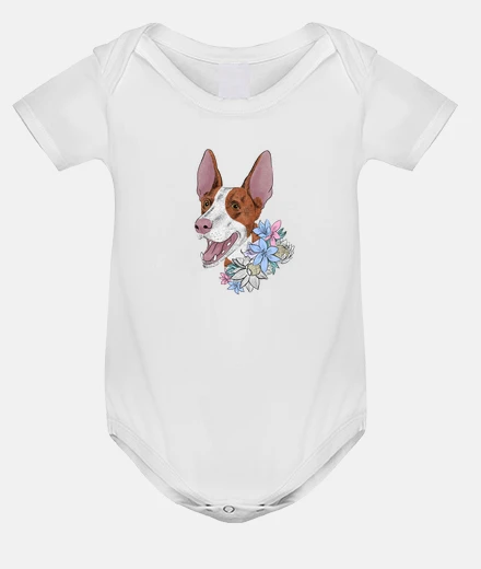 Ropa Diseño 2786018