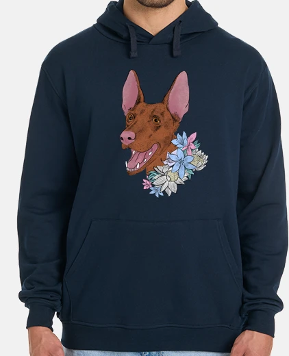 Sudadera Diseño 2786025