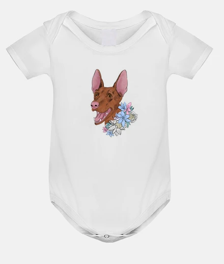 Ropa Diseño 2786025