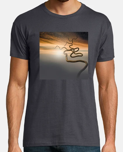 Camiseta Diseño 3177069