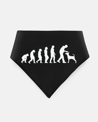 Mascotas dog evolution dog trainer dog doggie