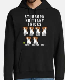 dog s pan iel breton stub born