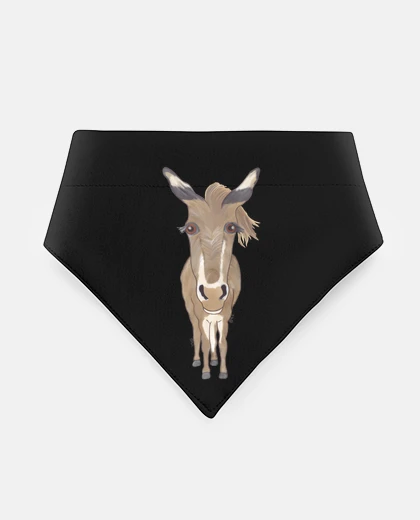 Mascotas donkey majorera