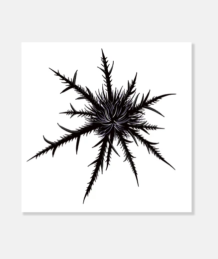 Wall Dry Thistle Black Gothic Botanical