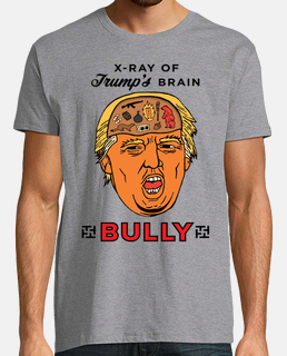 dump trump - bully