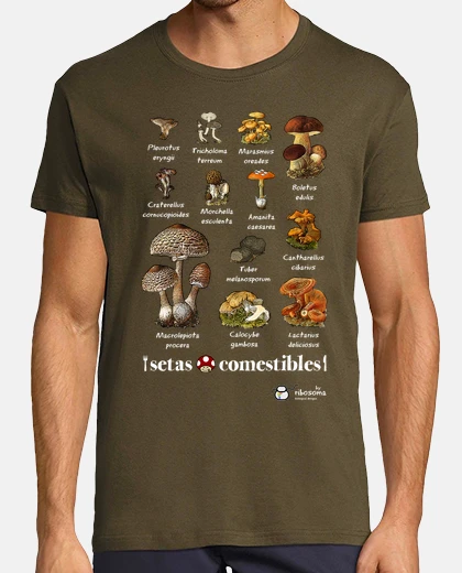 T-shirt edible mushrooms