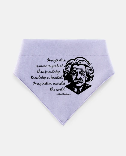 Mascotas einstein citas imaginación física perrito