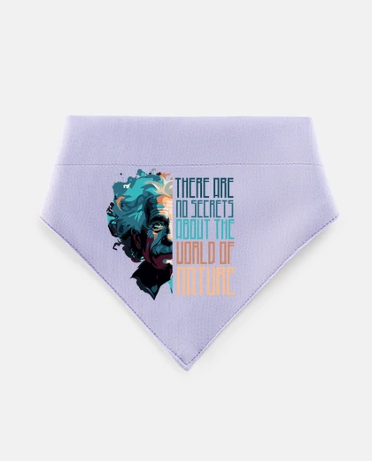 Mascotas Einstein theorie de la relativité maths