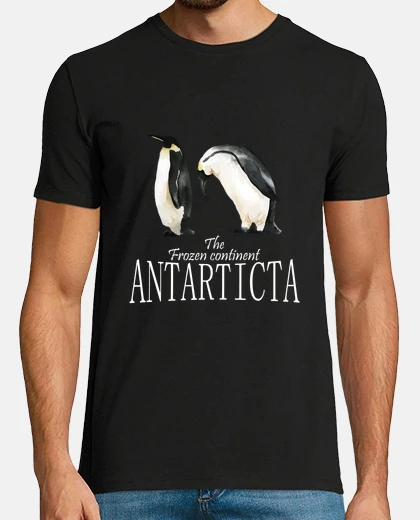 Playera el continente helado antártida