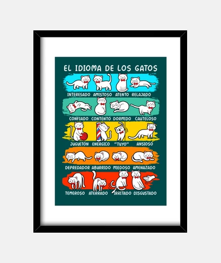 Cuadro El Idioma De Los Gatos Animales Lenguaje Gatitos