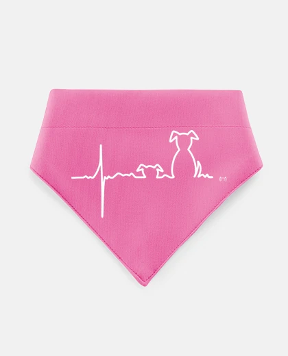 Mascotas électrocardiogramme de chien sur blanc