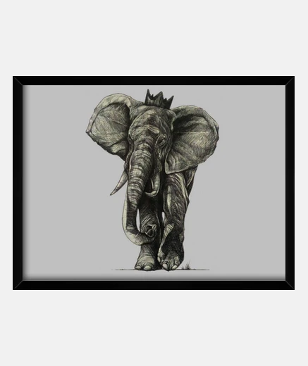 Cuadro Elephant King