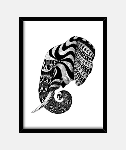 Framed elephant ornate