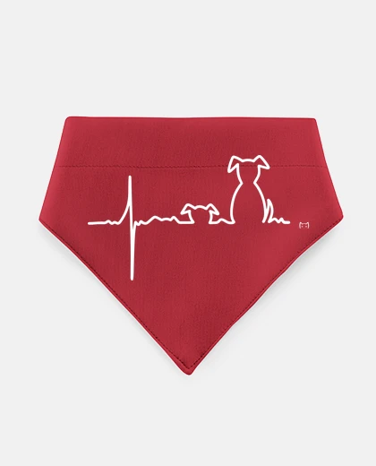 Mascotas ellettrocardiogramma del cane su bianco