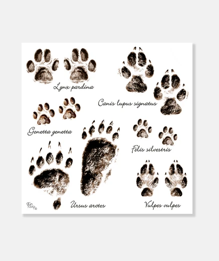 Tableau empreintes