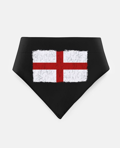 Mascotas england flag grunge london