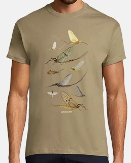Ephemeroptera 2
