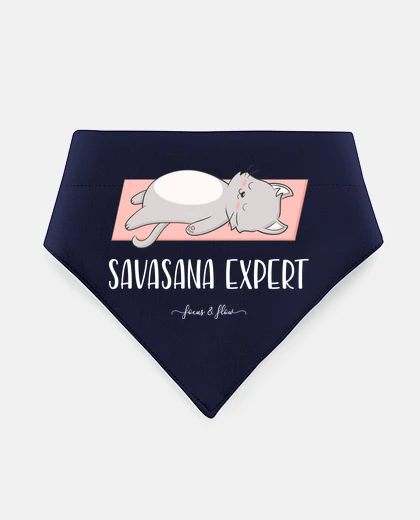 Mascotas esperto di bandana animali domestici gatto yoga savasana