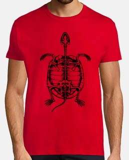 Esqueleto de Tortuga