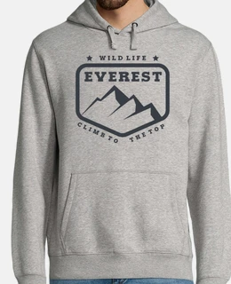 everest climb to the top