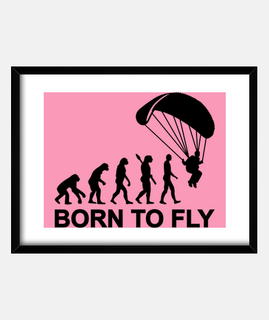 evolution skydiving born to fly