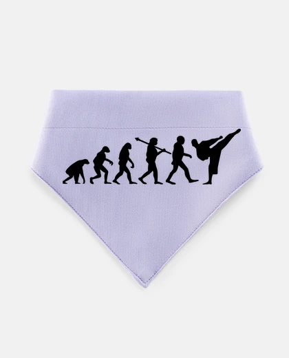 Mascotas evoluzione delle arti marziali arte marziale nera aikido cagnolino